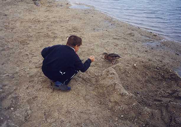 Ocho�en� ka�eny